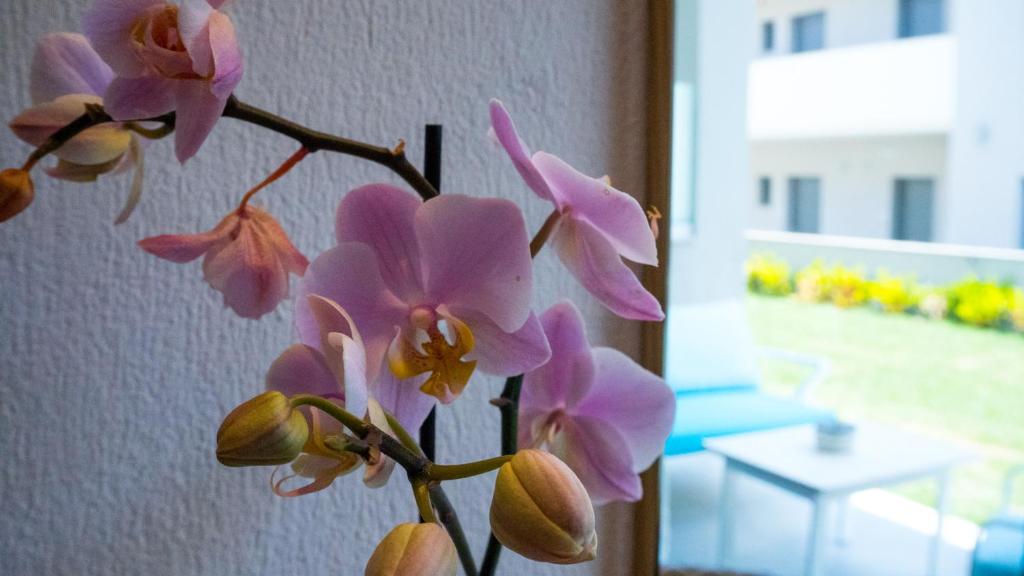 Costa Domus Blue Luxury Apartments - 11