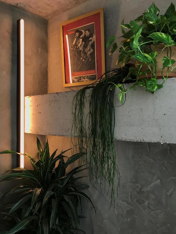 Fotografie z fotogalerie ubytování Kook Hotel Tarifa v destinaci Tarifa