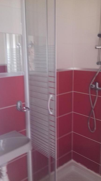ブレストにあるstudio de charmeの赤いタイルのガラス張りのシャワー付きのバスルーム