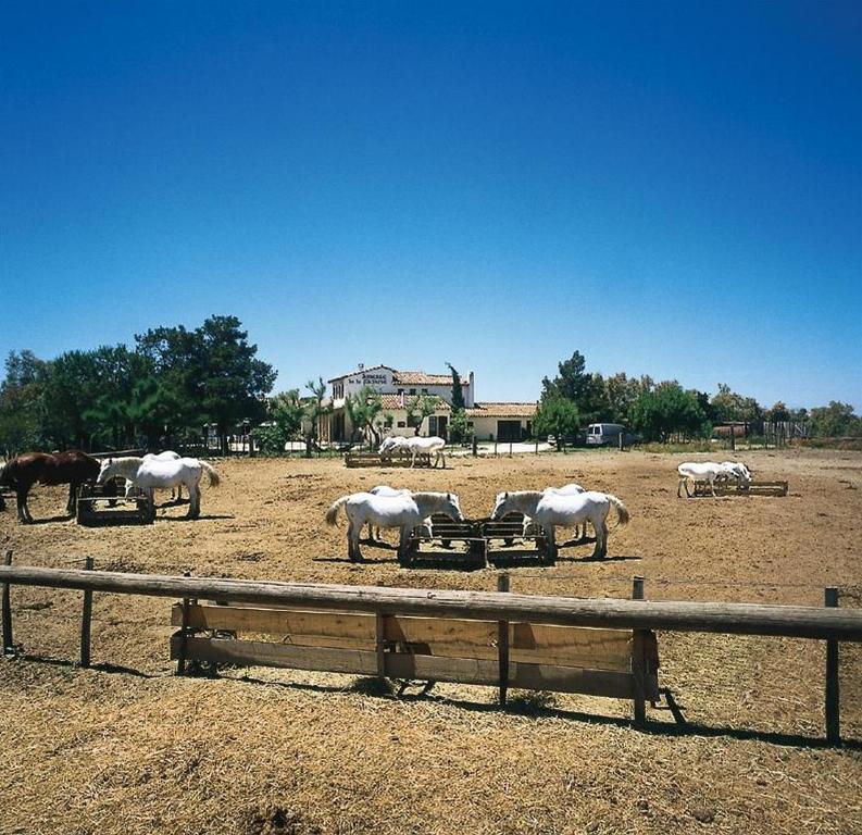 Fotografie z fotogalerie ubytování Auberge de la Fadaise v Saintes-Maries-de-la-Mer