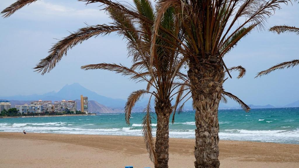 Hotel Boutique Calas de Alicante, Alicante – Bijgewerkte ...