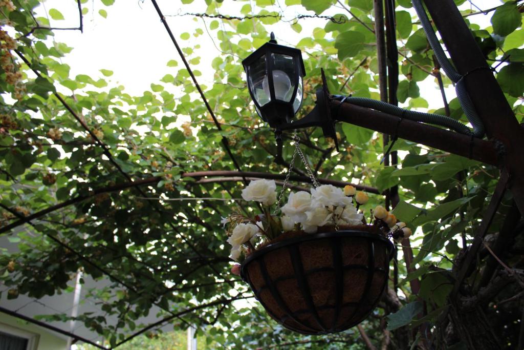 Zahrada ubytování La Deka GuestHouse