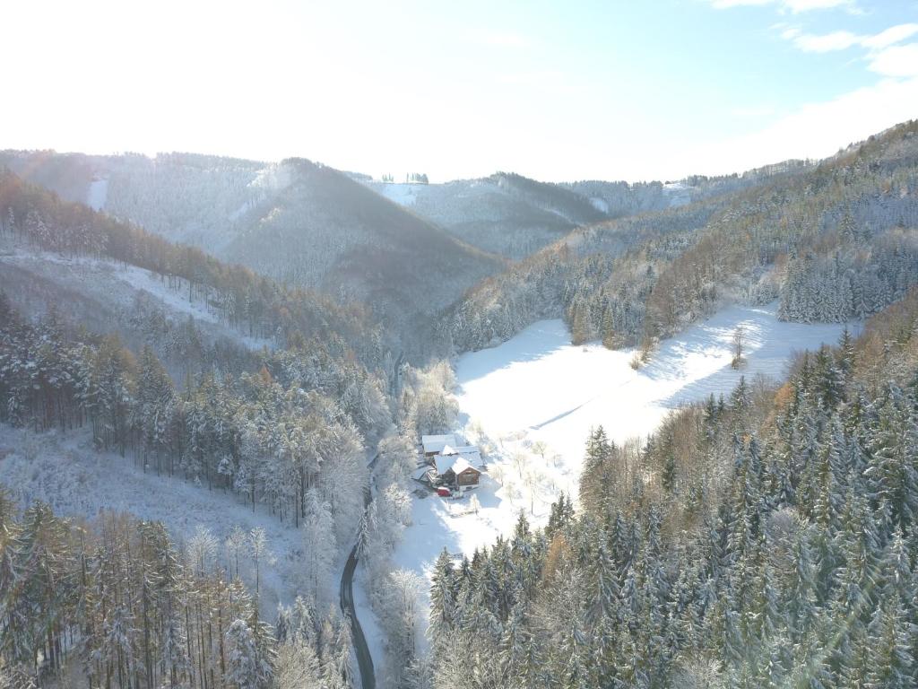 Príroda v okolí apartmánu
