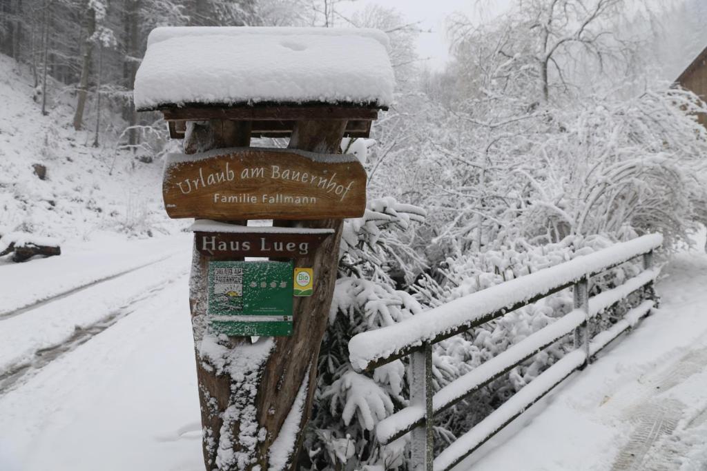 Urlaub mitten im Wald - Lueg v zime