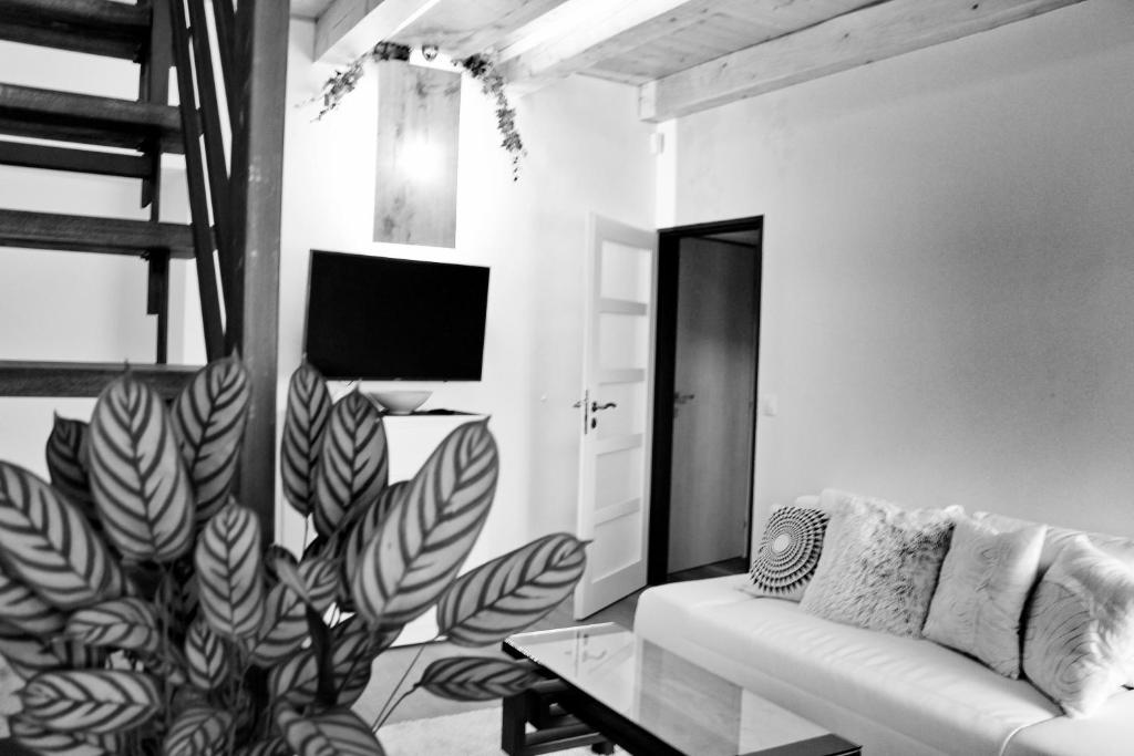 TV a/nebo společenská místnost v ubytování Apartmány Ztracená