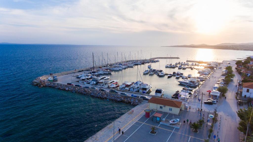 Príroda v okolí apartmánu