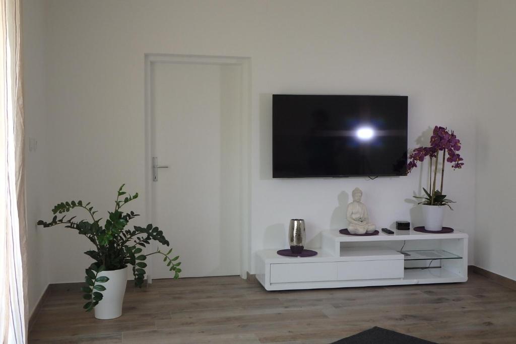 TV a/nebo společenská místnost v ubytování Haus Mup