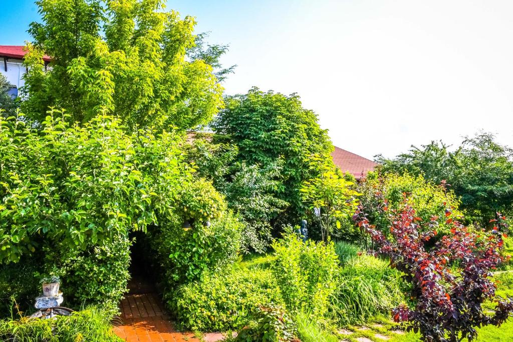 un jardín lleno de arbustos y árboles en La Toscana Rustica, en Muşeteşti