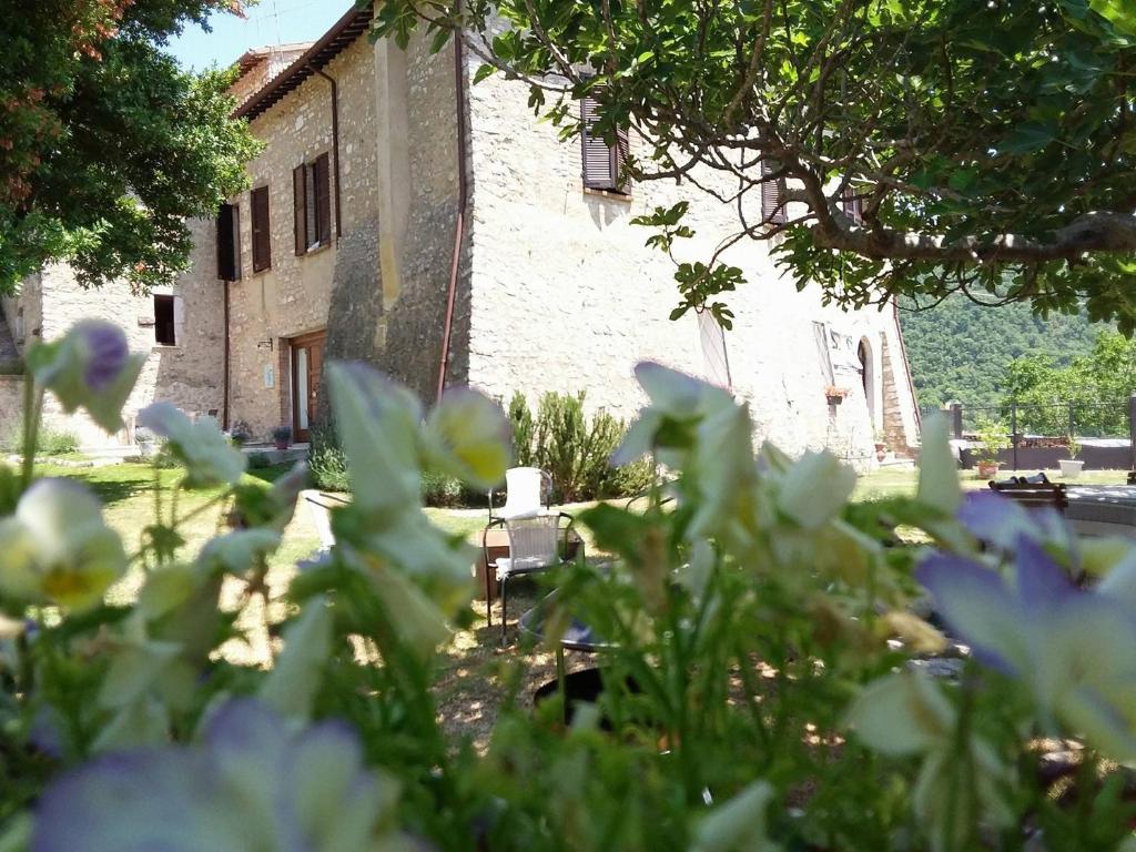 Zahrada ubytování Agriturismo campagna in compagnia