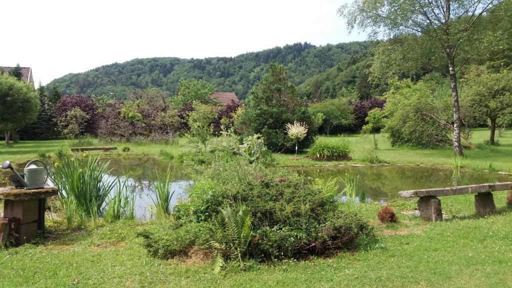 un parque con un estanque y un banco en el césped en Pied des Milles Etang - Les Capucins, en Faucogney-et-la-Mer