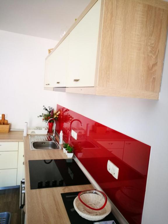Kuchyň nebo kuchyňský kout v ubytování Balkaneros Hostel