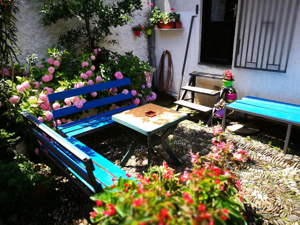 Zahrada ubytování Balkaneros Hostel