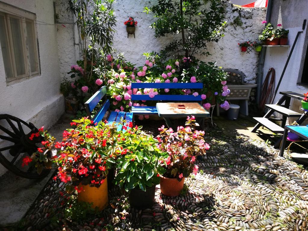 Zahrada ubytování Balkaneros Hostel
