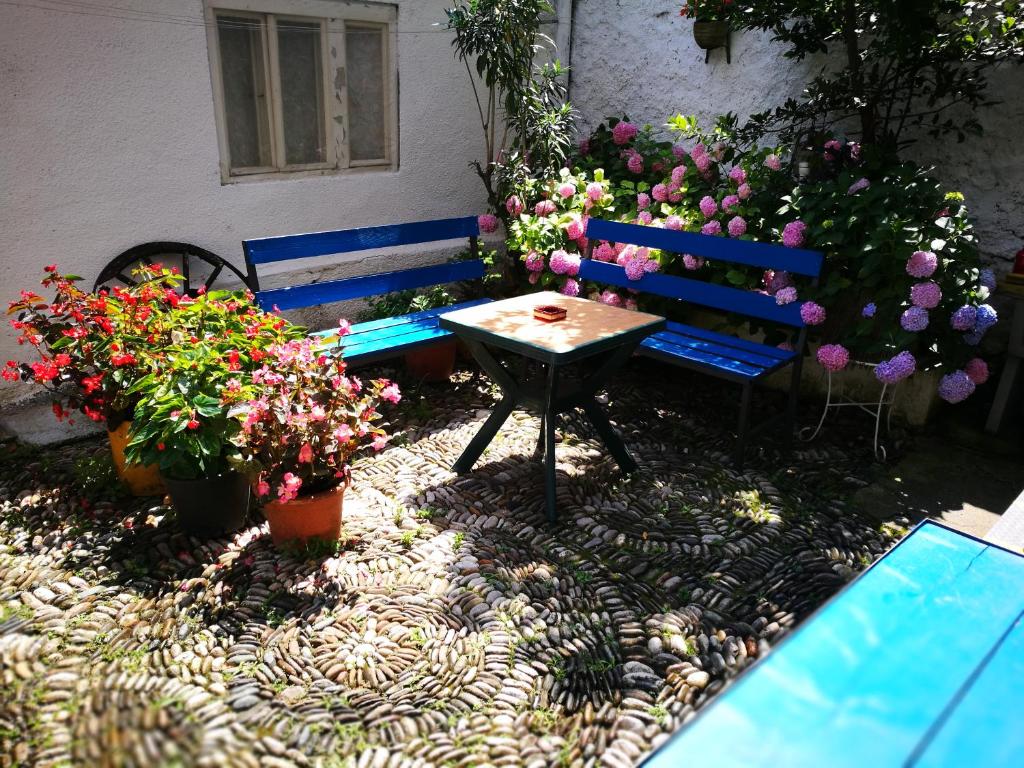 Zahrada ubytování Balkaneros Hostel