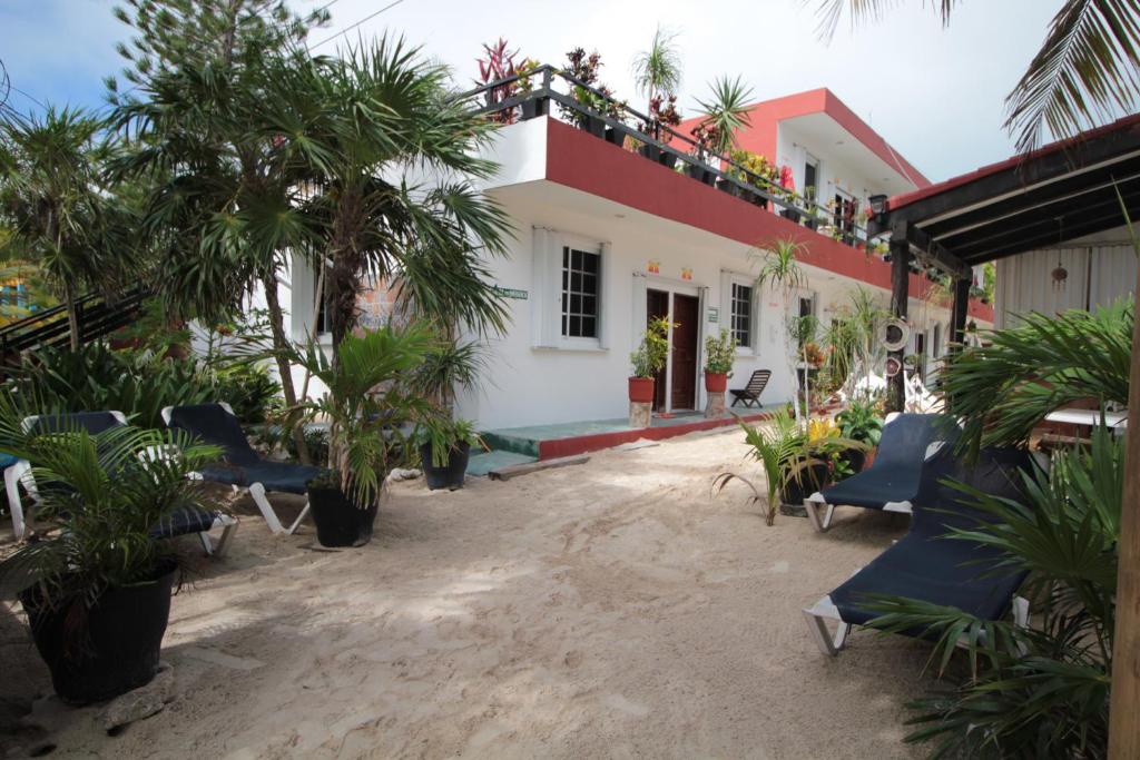 a resort with chairs and trees and a building at Villas Roseliz in Punta Allen