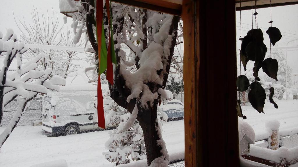 una ventana con un árbol cubierto de nieve en Carpe diem en San Martín de los Andes