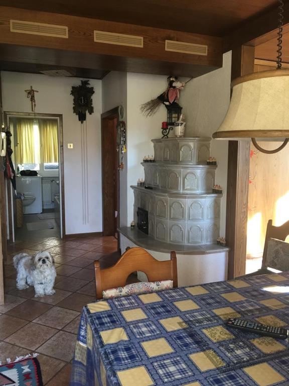 una camera con un letto e un cane in una stanza di Casa di vivian in montagna con giardino Alpe di siusi Fie allo sciliar Bolzano a Fié allo Sciliar