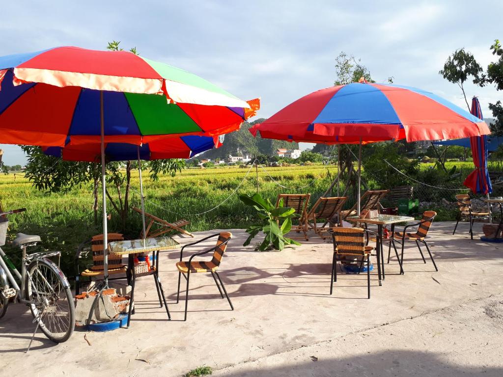 Tam Coc Rice Fields Homestay - 10