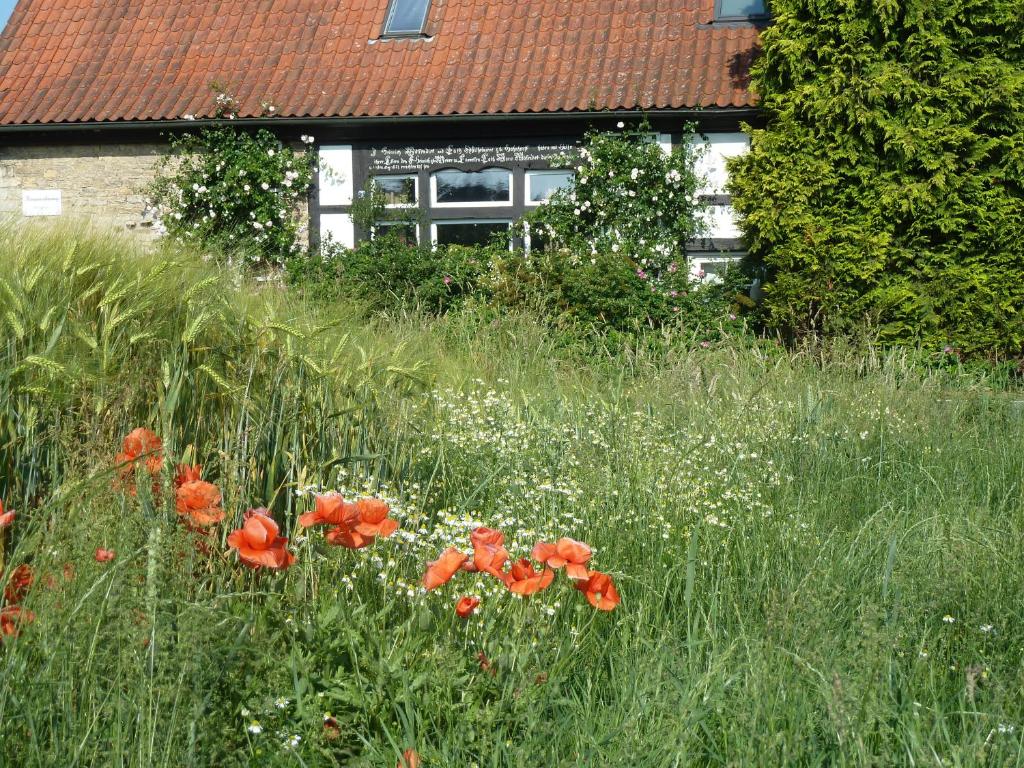 ein Feld voller roter Blumen vor einem Haus in der Unterkunft Gästehaus bei Veronica in Borgholzhausen