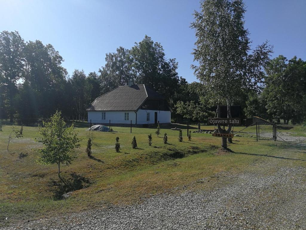 uma casa com um monte de árvores em frente em Ojavere Puhkemaja em Plika