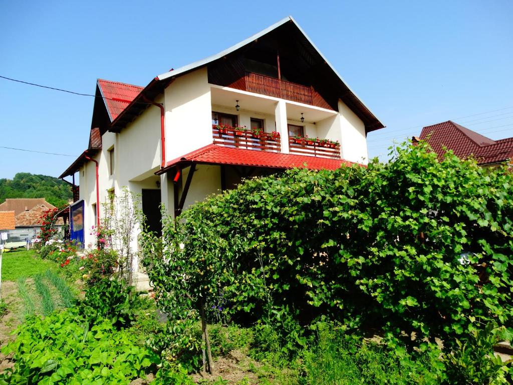 a house with a red roof and a balcony at Pensiunea Casa Elena in Corbeni