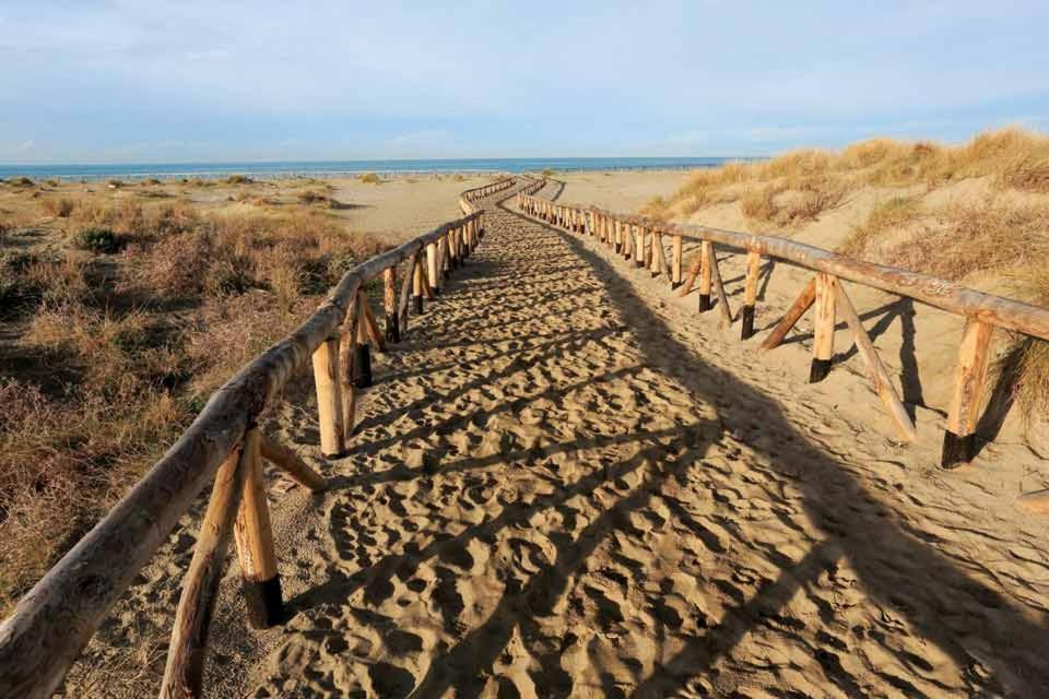 um calçadão de madeira no meio do deserto em Lagomare Beneadriana em Torre del Lago Puccini