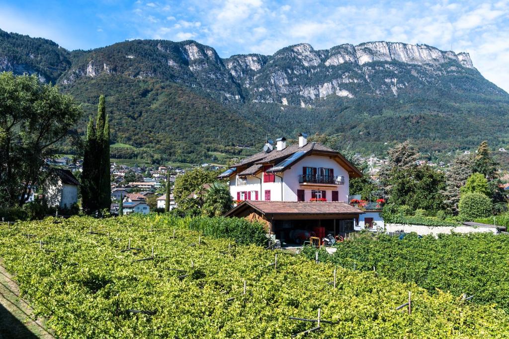 Príroda v okolí apartmánu