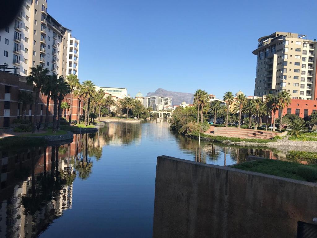 a river in a city with palm trees and buildings at The Island Club Apartment in Cape Town