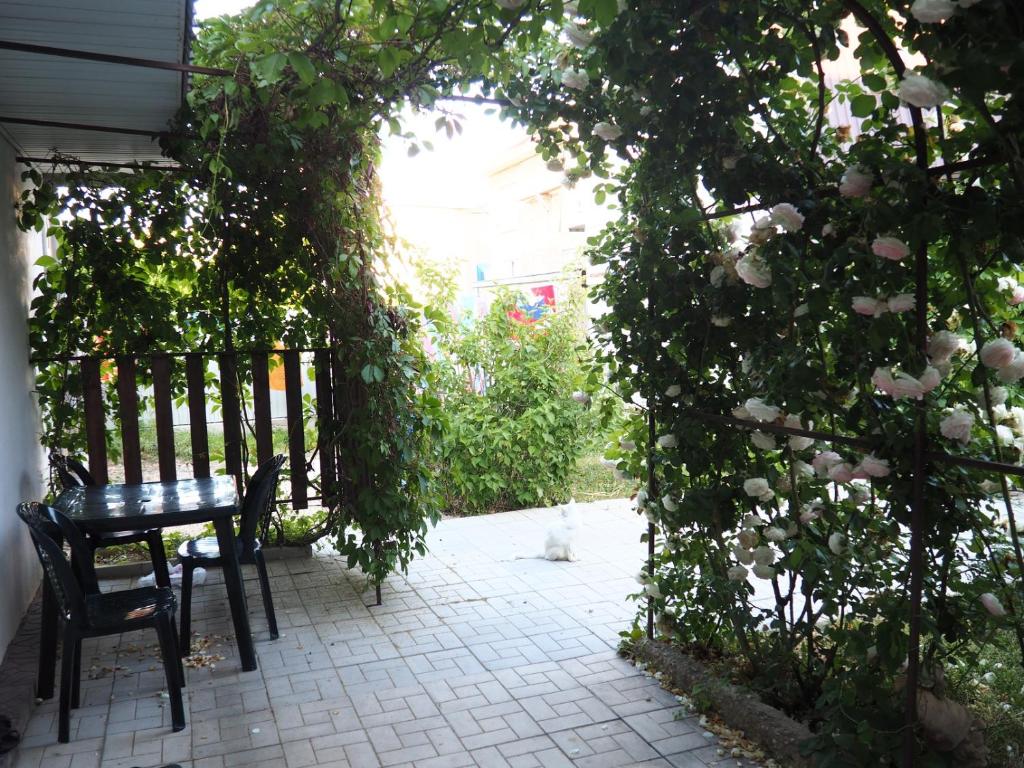 ゴルビツカヤにあるIlmaのパティオ(椅子付)、薔薇の生垣