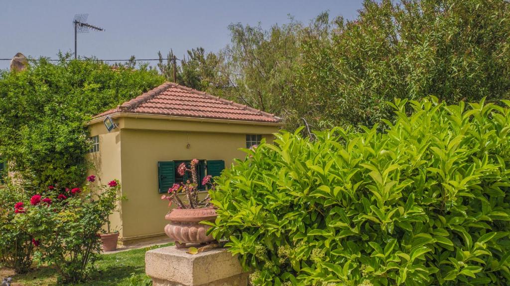 mały domek w ogrodzie z roślinami w obiekcie Sylvia's Guest House w mieście Kavrokhórion