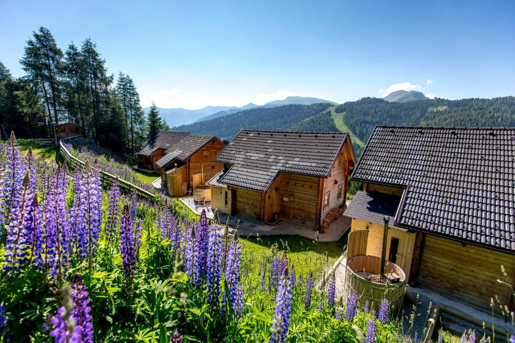 a group of wooden houses in a field of purple flowers at MarktlAlm Turracher Höhe in Turracher Hohe