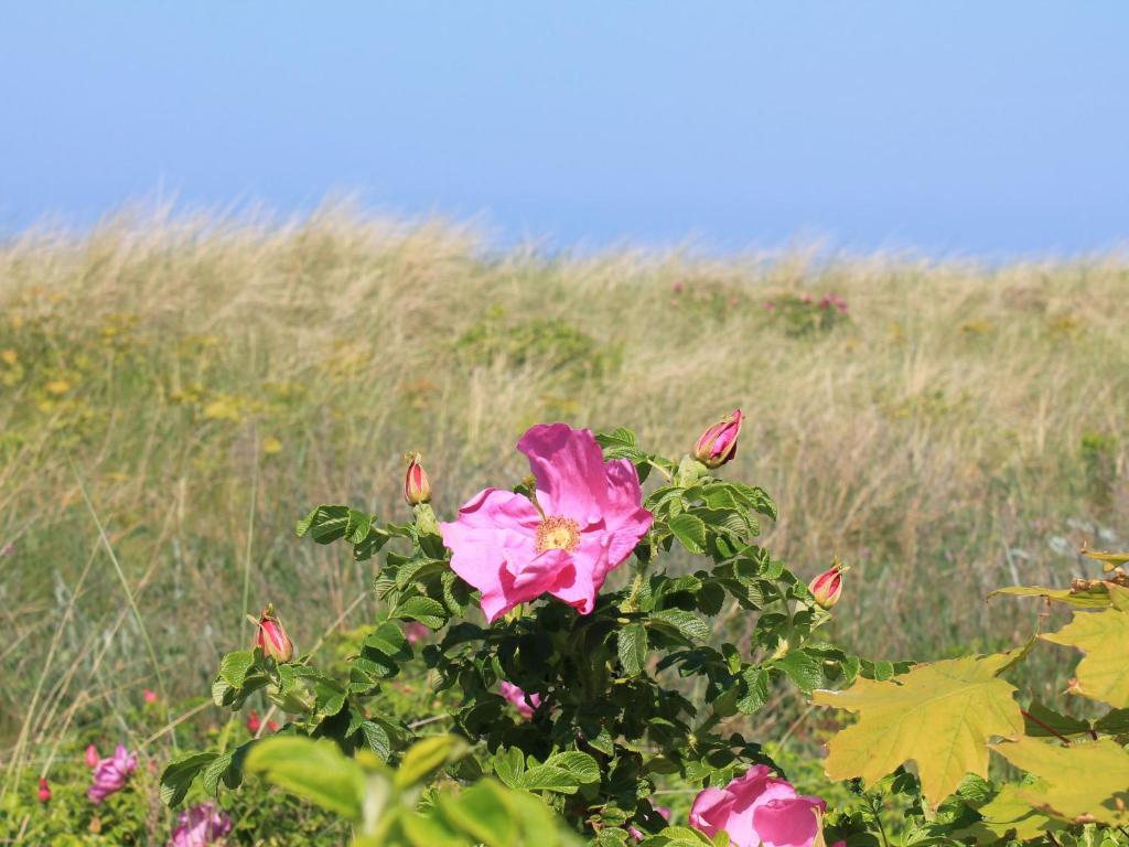 Zahrada ubytování Holiday Home by Baltic Sea with Sauna