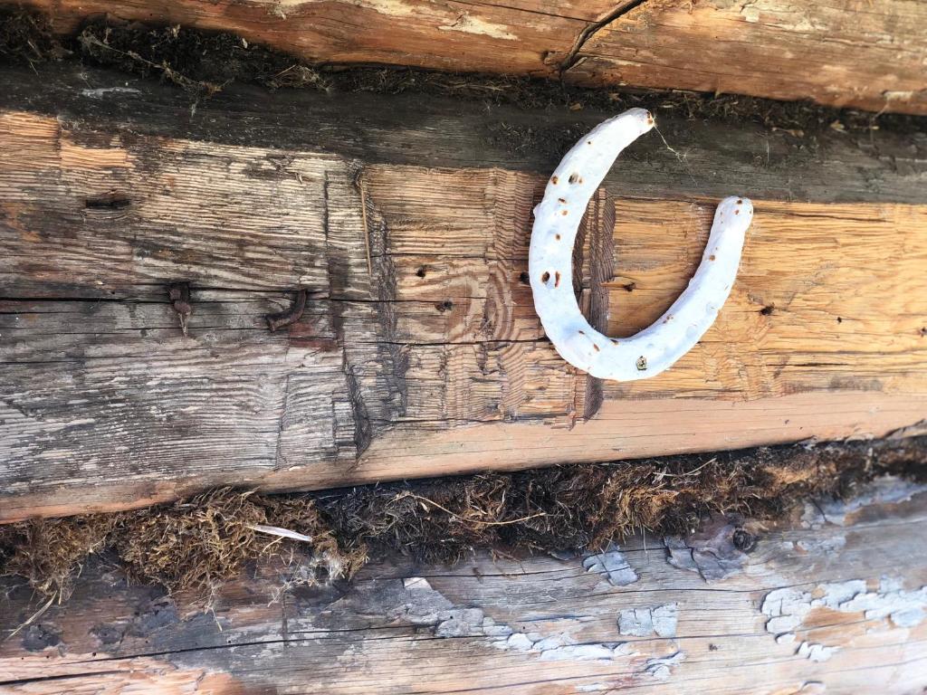 Fotografie z fotogalerie ubytování Lootsimaja - Pilot's House - Orjaku Harbour v destinaci Orjaku