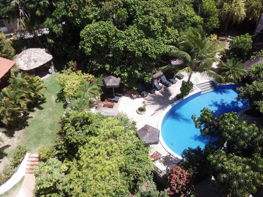 an overhead view of a swimming pool in a garden at Pousada Coco Fresco in Pipa