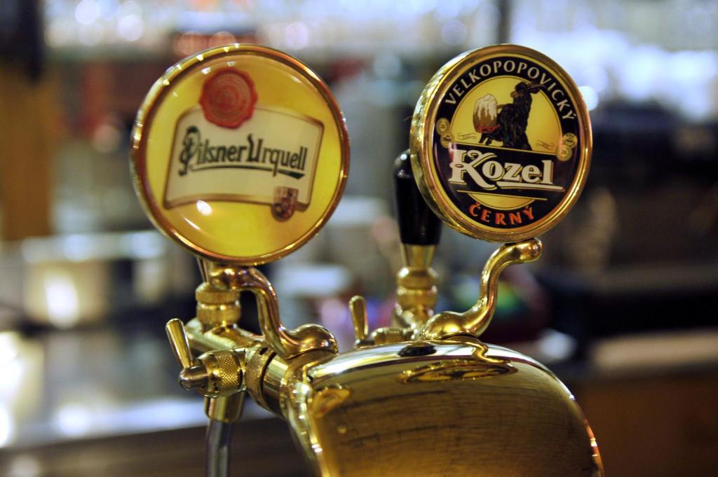 Karlsbad Grande Madonna - Resim 43