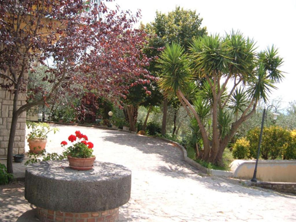 a garden with red flowers in pots on a stone pillar at B&B L'Uliveto in Montebuono