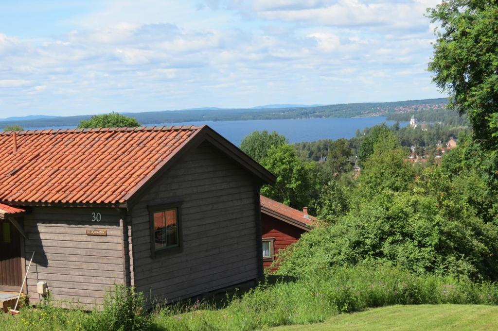 Příroda nedaleko chaty