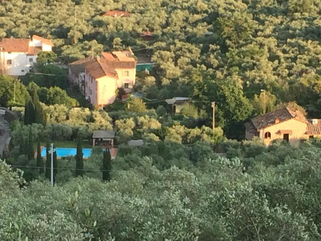 a group of houses in the middle of a forest at Casa di Meo in Buti