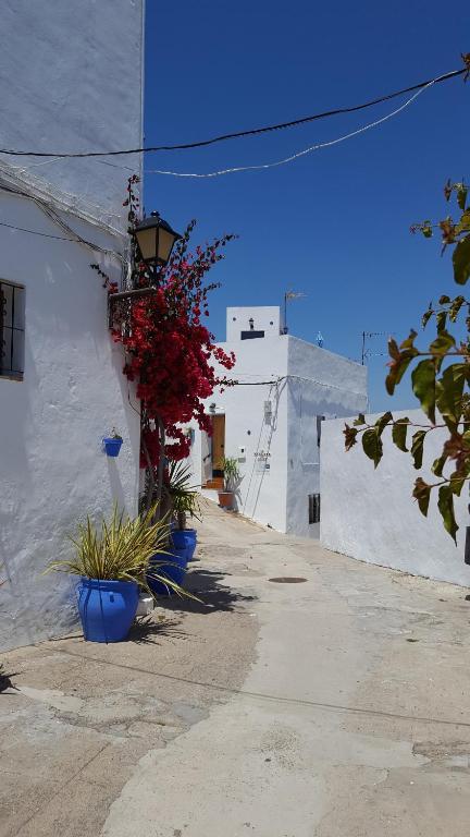 a street with white buildings and flowers in blue pots at Holiday home La Atalaya de Vejer in Vejer de la Frontera