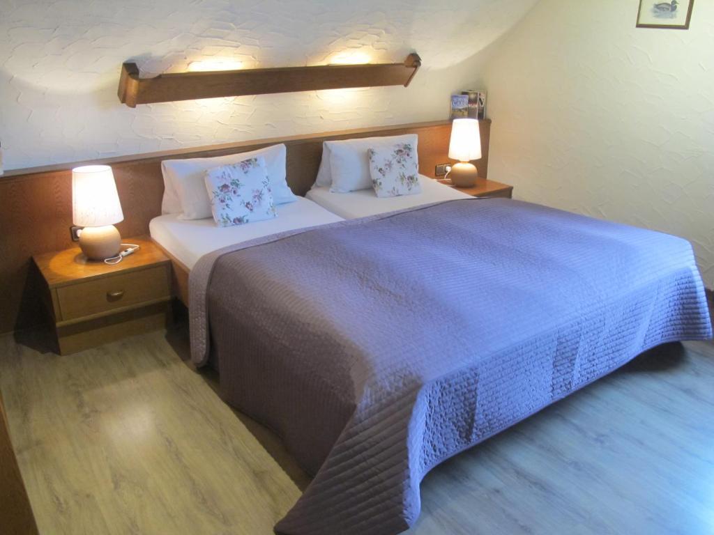 Gasthaus Zum Rothenberg - Habitación Doble O Twin