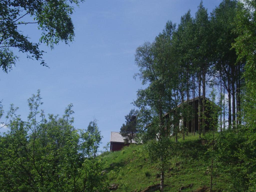 a house on top of a hill with trees at Ivaregga Vinterstua in Tolga