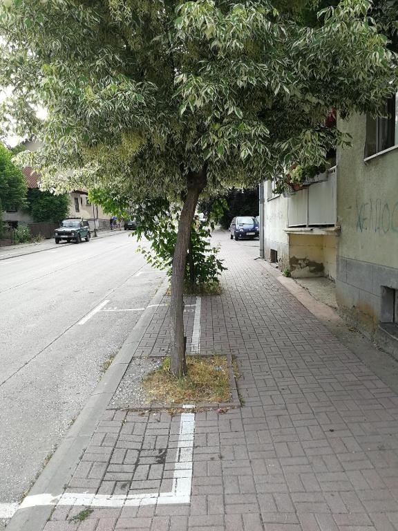 Okolí apartmánu