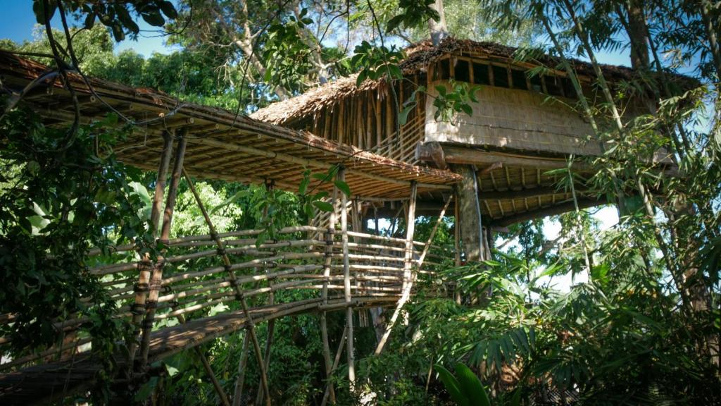 a tree house in the middle of the forest at Bukit Raya Guesthouse in Palangkaraya