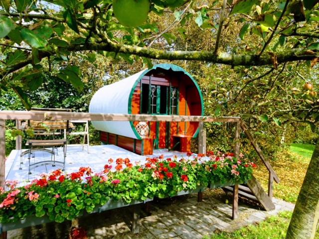 a small dome house with flowers in a garden at De huifkar in Warstiens
