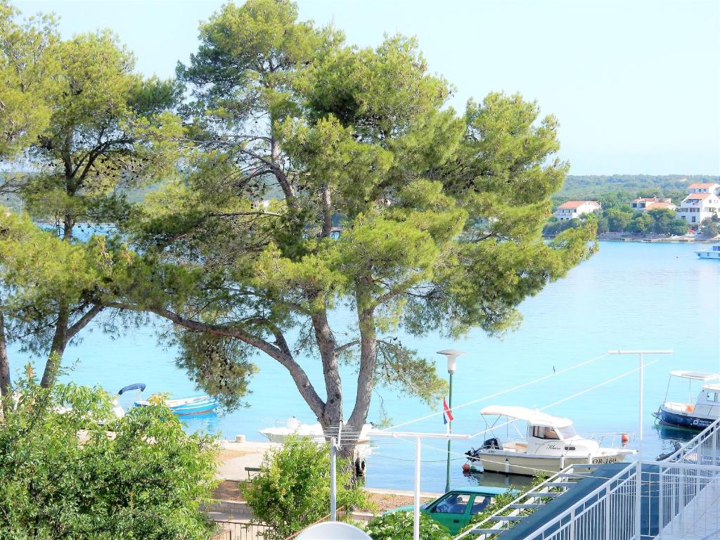 Príroda v okolí apartmánu