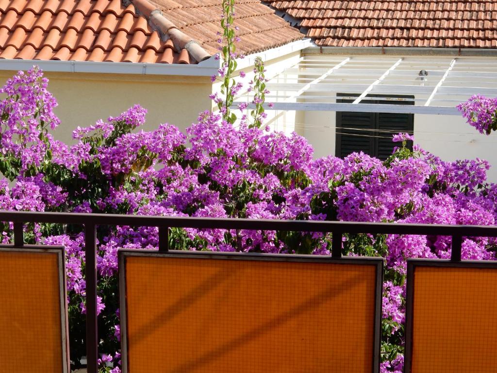 Vonkajšia záhrada v ubytovaní Apartments Indira