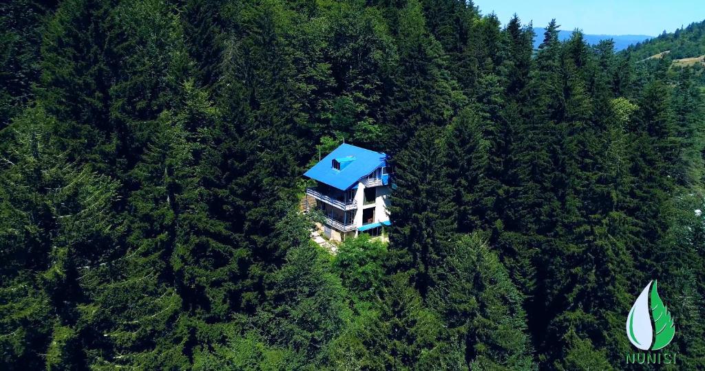 a house with a blue roof in the middle of a forest at Nunisi Forest Hotel & SPA in Nunisi