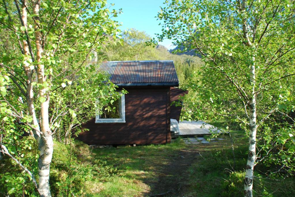 mały drewniany domek na środku drzew w obiekcie Haugteig w mieście Lyngværet