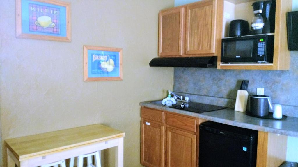 Kuchyň nebo kuchyňský kout v ubytování Marlane Motel