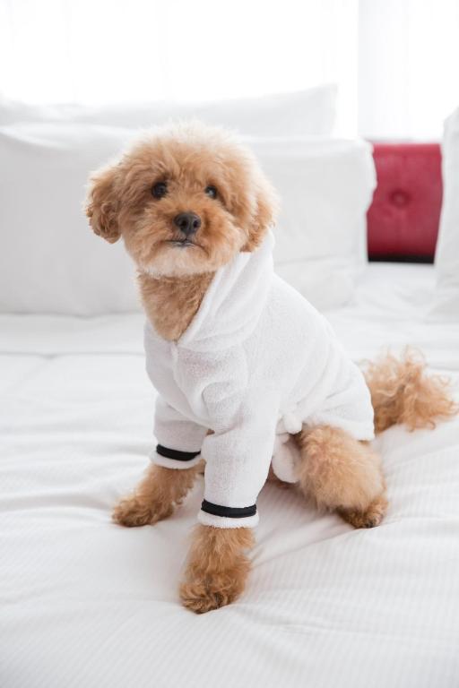 OPUS Vancouver - Resim 20